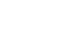 mainLogoWhite